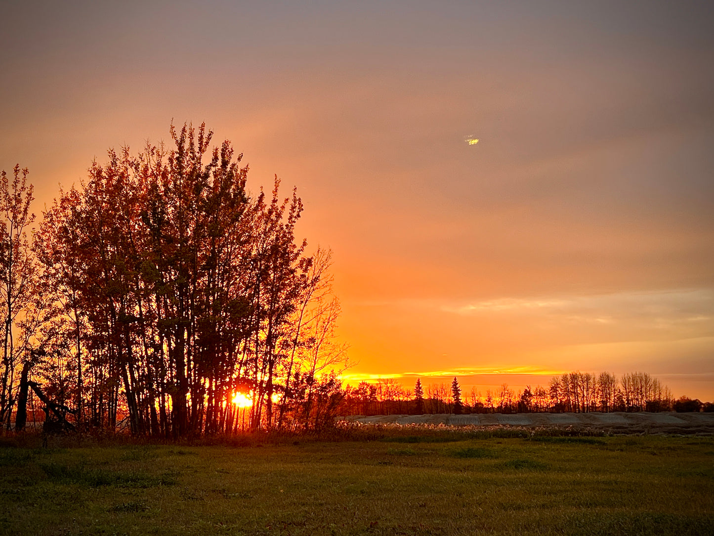 VIP :: Vibe Like Vincent Weekend Painting Workshop :: July 24 - 26, 2026