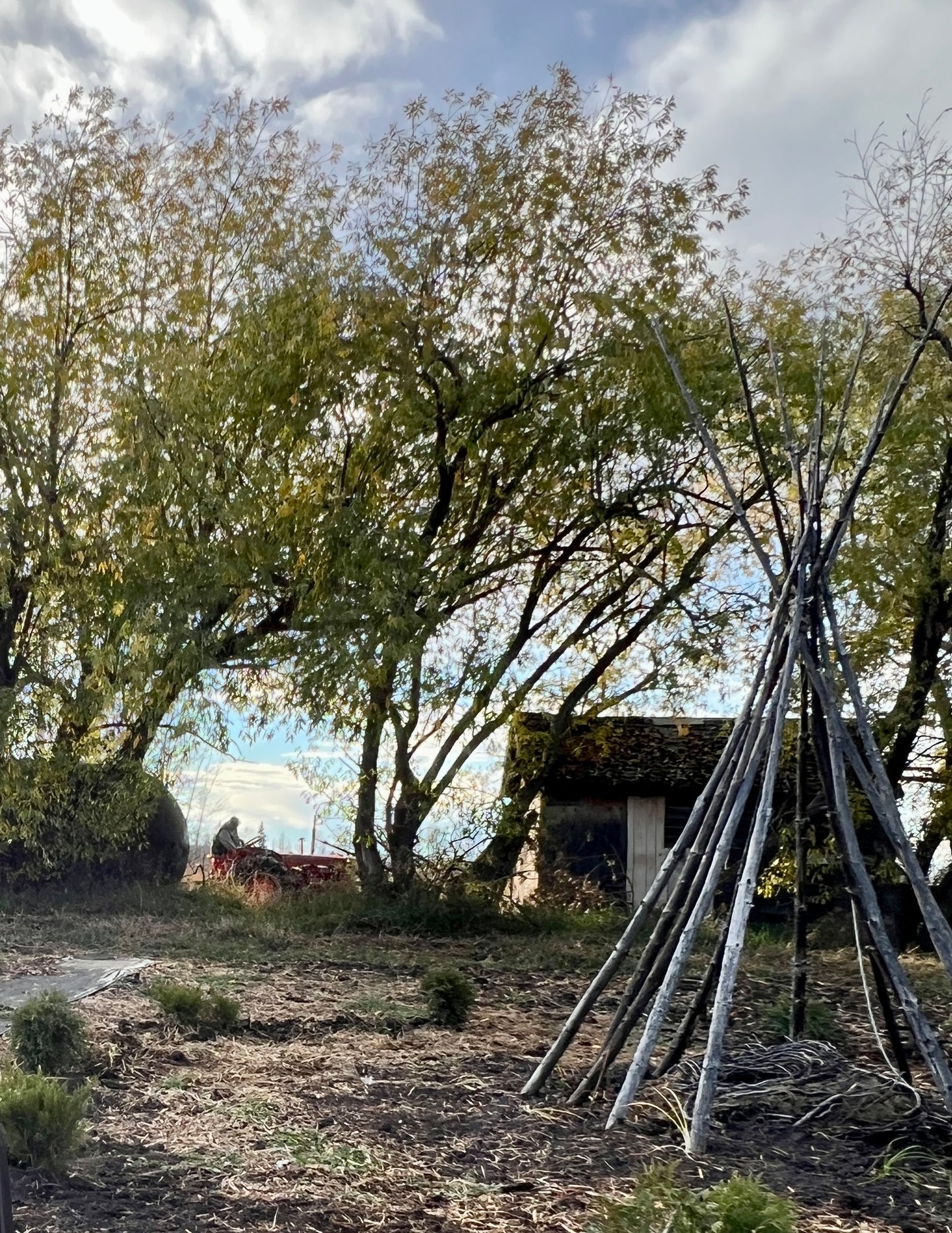 VIP :: Vibe Like Vincent Weekend Painting Workshop :: July 24 - 26, 2026