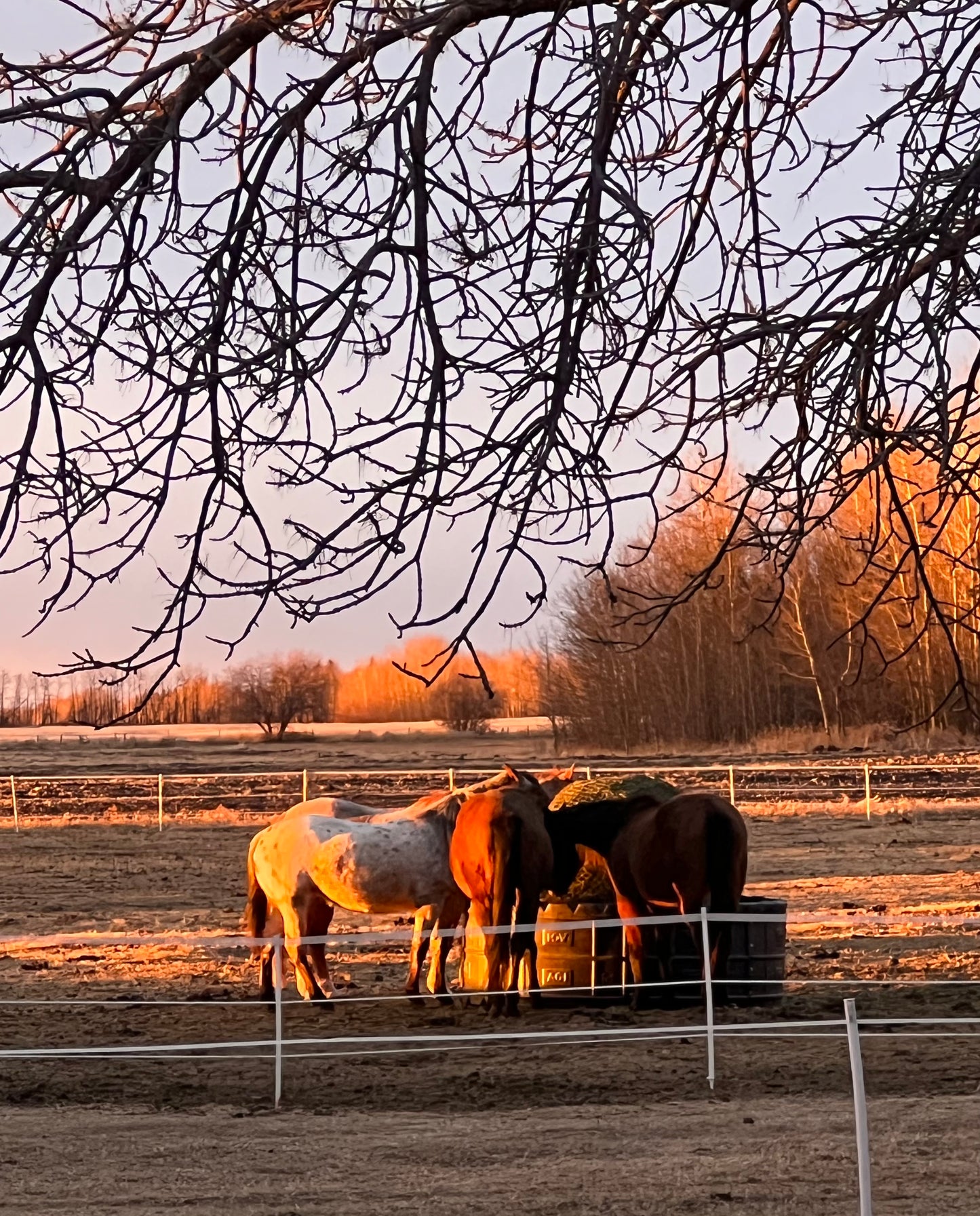 VIP :: Vibe Like Vincent Weekend Painting Workshop :: July 24 - 26, 2026