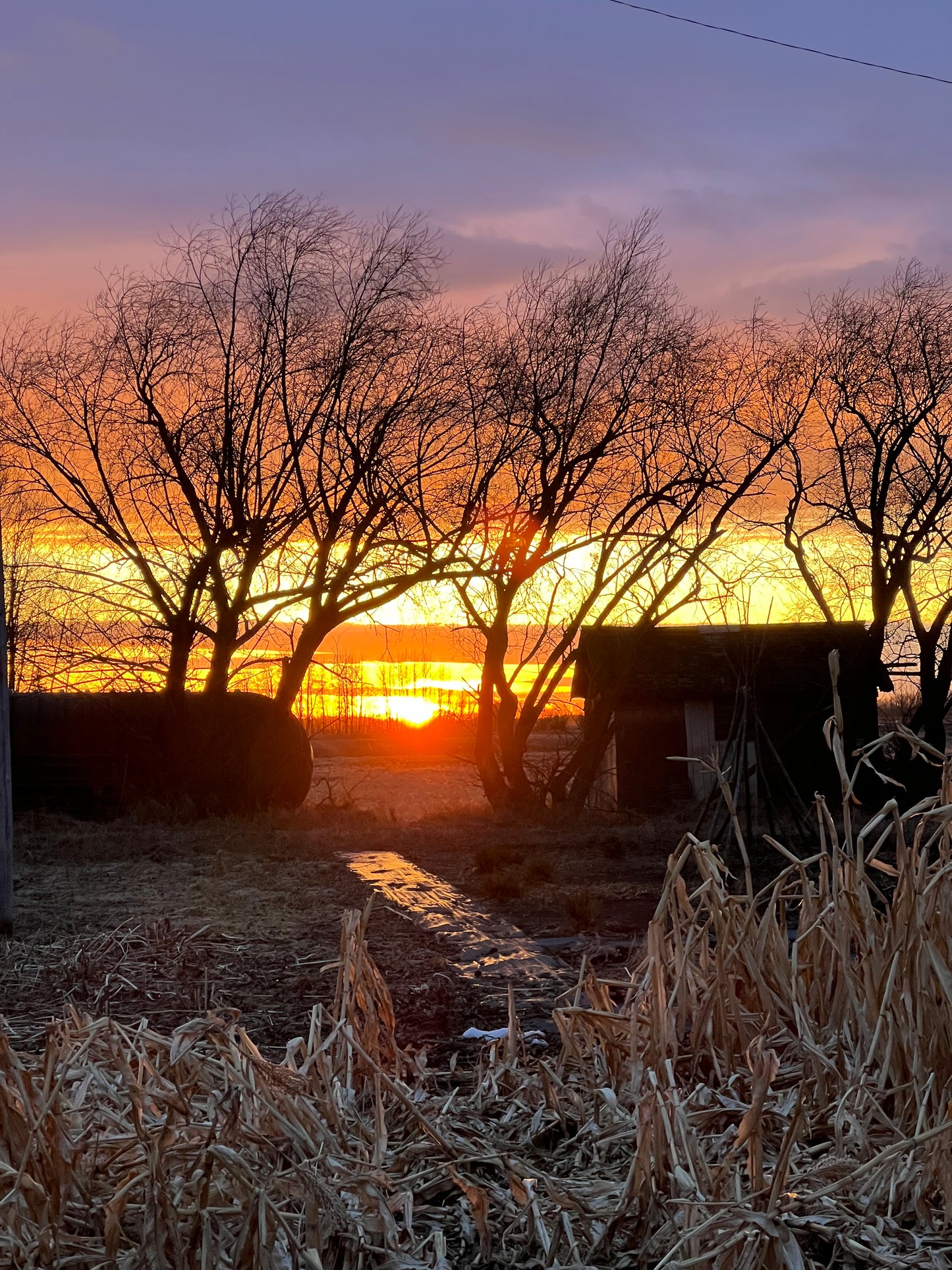 VIP :: Vibe Like Vincent Weekend Painting Workshop :: July 24 - 26, 2026