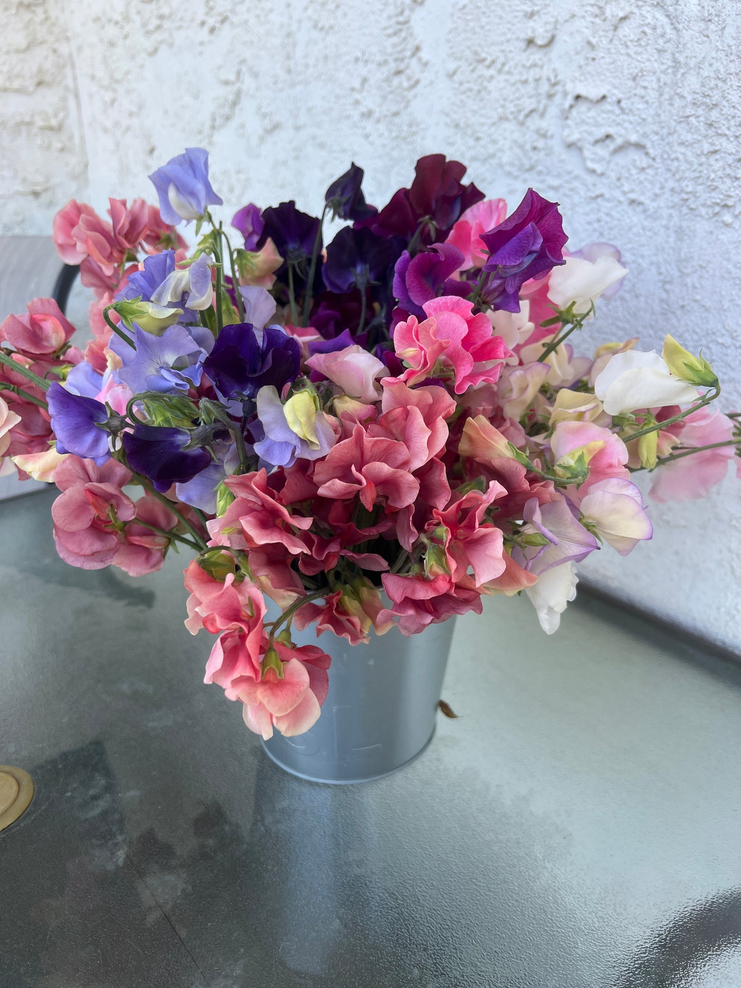 Flower Moon Farm Sweet Pea Mix