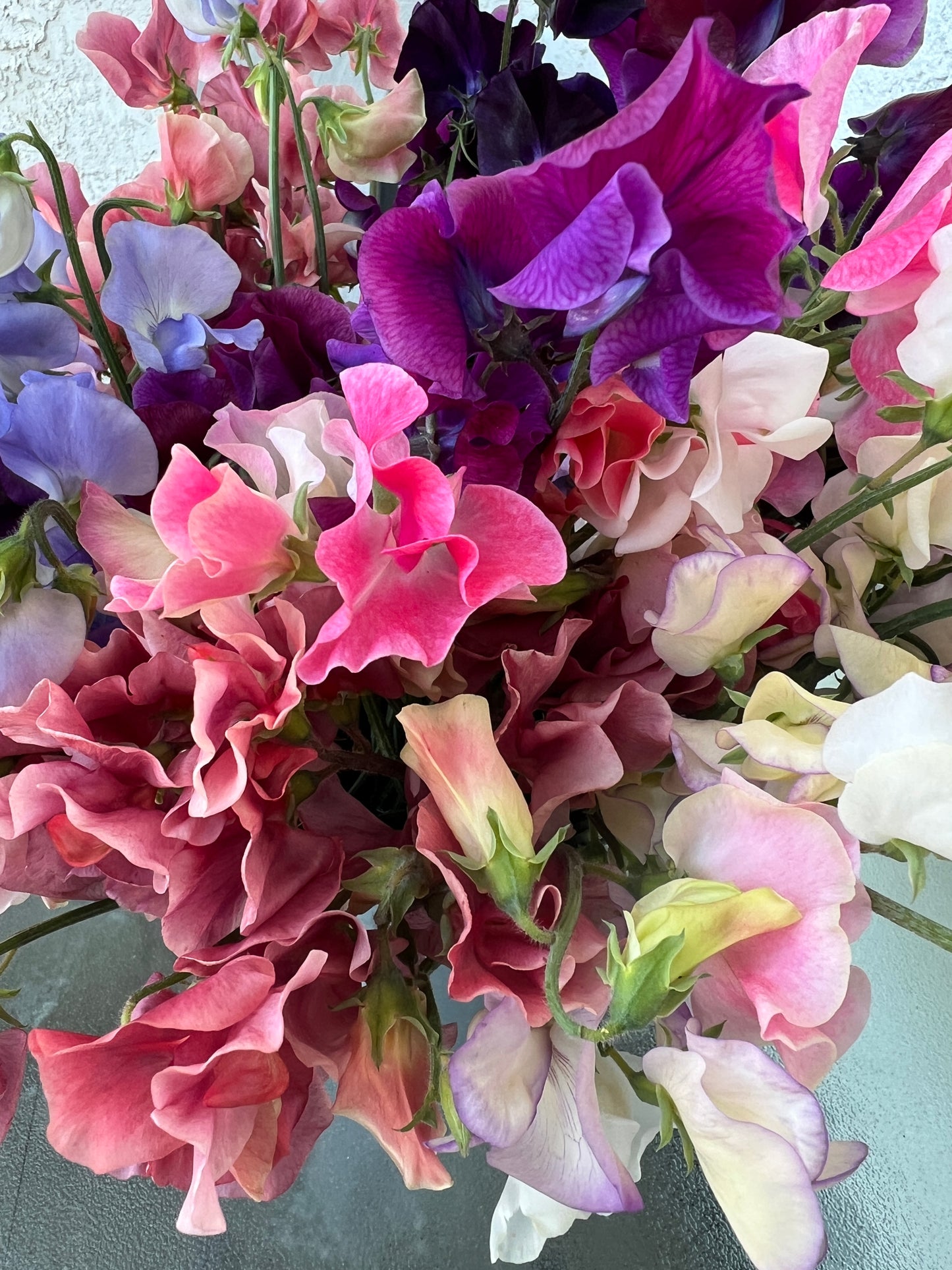 Flower Moon Farm Sweet Pea Mix