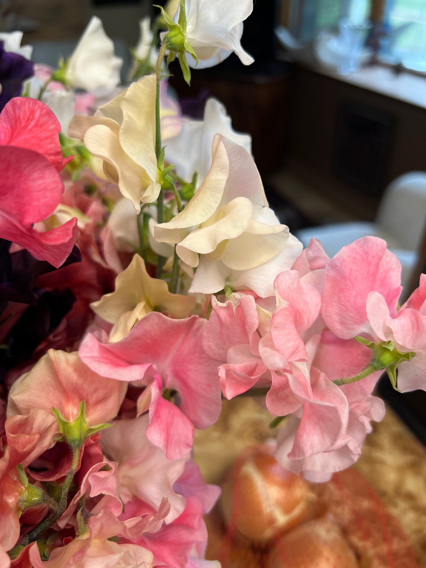 Flower Moon Farm Sweet Pea Mix