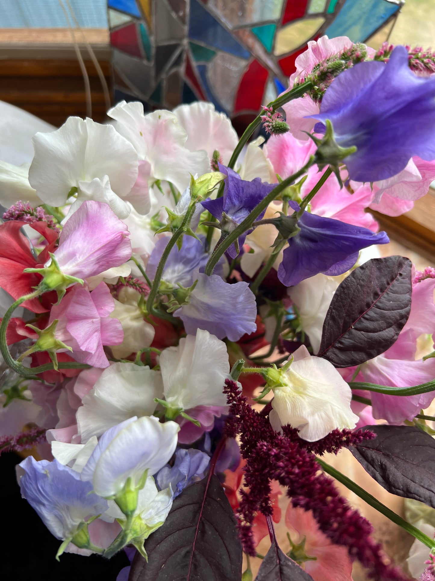 Flower Moon Farm Sweet Pea Mix