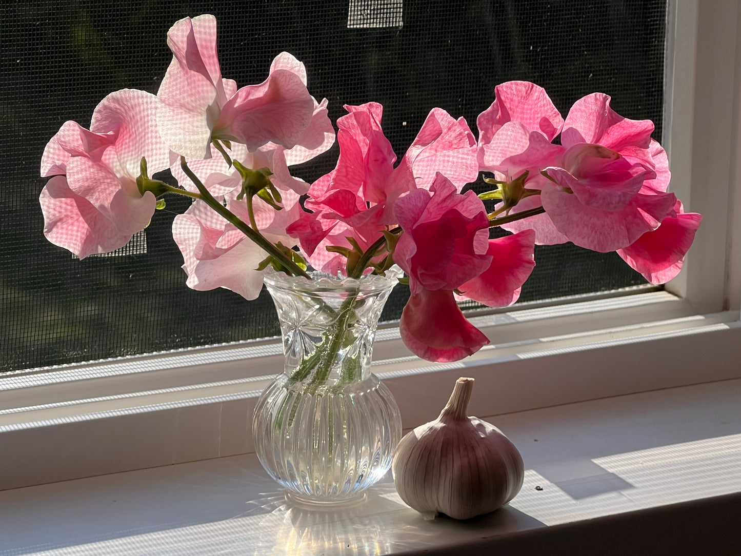 Flower Moon Farm Sweet Pea Mix