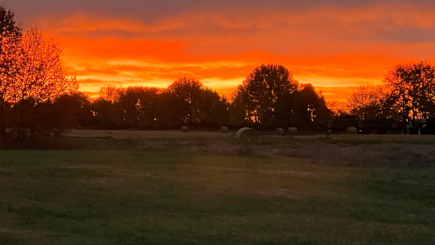 VIP :: Vibe Like Vincent Weekend Painting Workshop :: July 24 - 26, 2026