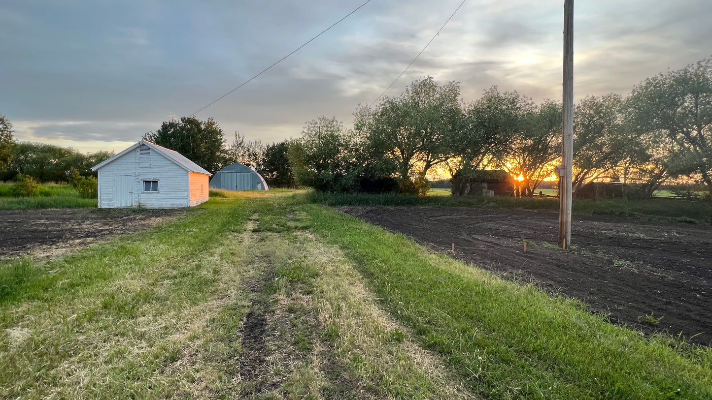 VIP :: Vibe Like Vincent Weekend Painting Workshop :: July 24 - 26, 2026